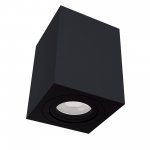 Светильник потолочный Maytoni C017CL-01B