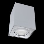 Потолочный светильник Maytoni C017CL-01S Alfa