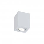 Потолочный светильник Maytoni C017CL-01W Alfa