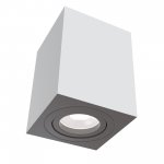 Потолочный светильник Maytoni C017CL-01W Alfa