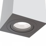 Потолочный светильник Maytoni C017CL-01W Alfa