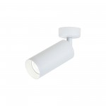 Потолочный светильник Maytoni C017CW-01W Focus