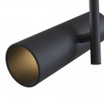 Потолочный светильник Maytoni C020CL-01B Elti