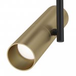 Потолочный светильник Maytoni C020CL-01GB Elti