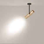 Потолочный светильник Maytoni C020CL-01GB Elti