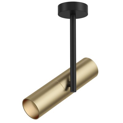 

Потолочный светильник Maytoni C020CL-01GB Elti, C020CL-01GB