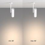 Потолочный светильник Maytoni C020CL-01W Elti