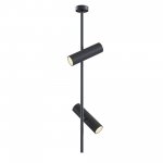 Потолочный светильник Maytoni C021CL-02B Elti