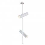 Потолочный светильник Maytoni C021CL-02W Elti