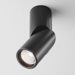 Потолочный светильник Maytoni C027CL-L10B4K Dafne