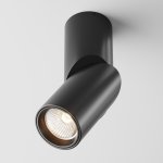 Потолочный светильник Maytoni C027CL-L10B Dafne