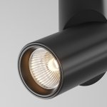 Потолочный светильник Maytoni C027CL-L10B Dafne