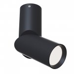 Потолочный светильник Maytoni C027CL-L10B Dafne