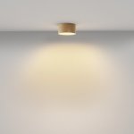 Потолочный светильник Maytoni C032CL-12W2.7K-RD-MG Zon