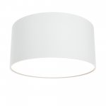 Потолочный светильник Maytoni C032CL-12W3K-RD-W Zon