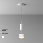 Потолочный светильник Maytoni C032CL-12W3K-RD-W Zon