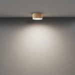 Потолочный светильник Maytoni C032CL-12W4K-RD-MG Zon