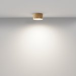 Потолочный светильник Maytoni C032CL-12W4K-RD-MG Zon