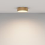 Потолочный светильник Maytoni C032CL-24W3K-RD-MG Zon