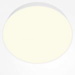 Потолочный светильник Maytoni C032CL-45W3K-RD-W Zon