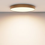 Потолочный светильник Maytoni C032CL-90W3K-RD-MG Zon