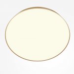 Потолочный светильник Maytoni C032CL-90W3K-RD-MG Zon