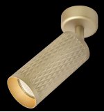 Потолочный светильник Maytoni C034CL-01G Focus Design