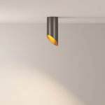 Потолочный светильник Maytoni C044CL-01-15GU10-B Lipari