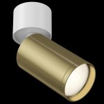 Потолочный светильник Maytoni C050CL-1WBS FOCUS S