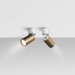 Потолочный светильник Maytoni C050CL-1WBZ FOCUS S