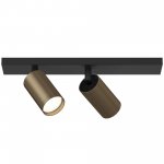 Потолочный светильник Maytoni C051CL-02BBZ FOCUS S