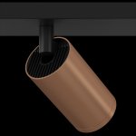 Потолочный светильник Maytoni C051CL-02BC FOCUS S