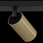 Потолочный светильник Maytoni C051CL-02BMG FOCUS S