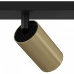 Потолочный светильник Maytoni C051CL-02BMG FOCUS S