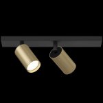 Потолочный светильник Maytoni C051CL-02BMG FOCUS S