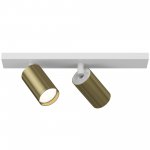 Потолочный светильник Maytoni C051CL-2WBS FOCUS S