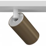 Потолочный светильник Maytoni C051CL-2WBZ FOCUS S