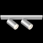 Потолочный светильник Maytoni C051CL-2WCH FOCUS S