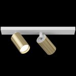 Потолочный светильник Maytoni C051CL-2WG FOCUS S