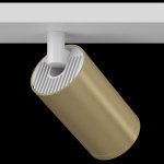 Потолочный светильник Maytoni C051CL-2WMG FOCUS S