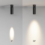 Потолочный светильник Technical C055CL-L12W2.7K-SS-B