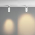 Потолочный светильник Technical C055CL-L12W2.7K-Z-W