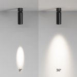Потолочный светильник Technical C055CL-L12W4K-SS-B