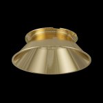 Аксессуар Maytoni C060-01G Virar