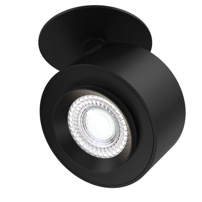 

Потолочный светильник Maytoni C063CL-L12B4K Treo, C063CL-L12B4K
