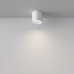 Потолочный светильник Maytoni C088CL-GX53-W Polar