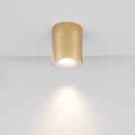 Потолочный светильник Maytoni C094-GU10-MG Spark