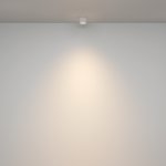 Потолочный светильник Maytoni C095CL-GX53-W Rendo