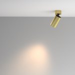 Потолочный светильник Maytoni C108CL-01-GU10-BS Calipso