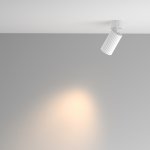 Потолочный светильник Maytoni C108CL-01-GU10-W Calipso